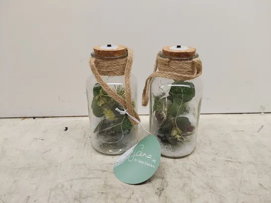 BOXED SARAH DAVIES SET OF 2 PRE LIT FOLIAGE GLASS JARS (1 BOX)