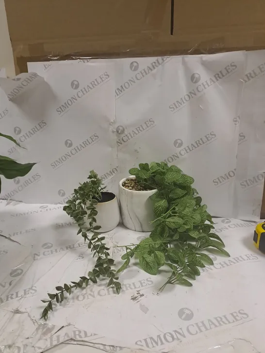 BOX OF 2 SYNTHETIC HANGING LEAF PLANTS 