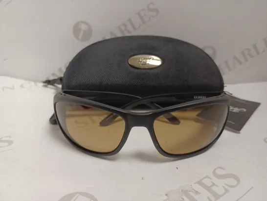 FORTIS POLARISED BLACK FRAMED SUNGLASSES