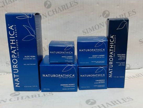 LOT OF 6 NATUROPATHICA SKIN CARE ITEMS