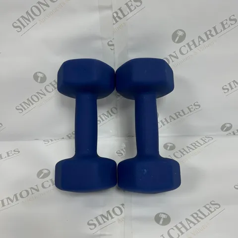 LOT OF TWO 5KG BLUE DUMBBELLS 