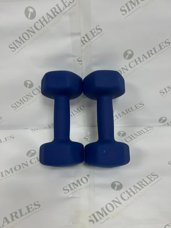 LOT OF TWO 5KG BLUE DUMBBELLS 