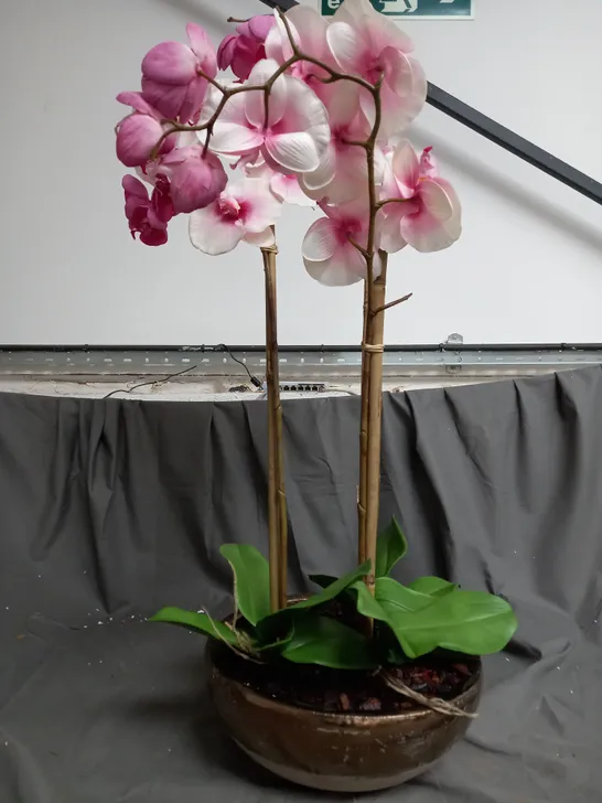 BOXED OUTLET PEONY PHALAENOPSIS ORCHID IN A LOW CERAMIC BOWL