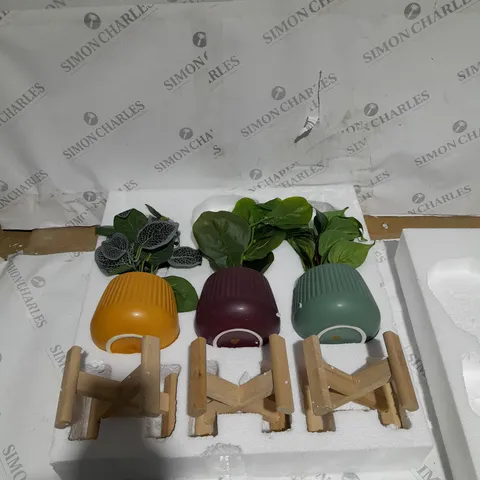 BUNDLEBERRY BY AMANDA HOLDEN SET OF 3 FAUX PLANTS ON WOODEN STANDS