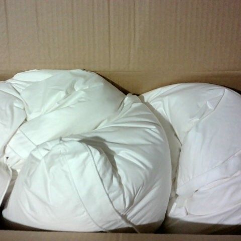 NORTHERN NIGHTS SET OF PUR FEATHER PILLOWS MEDIUM/FIRM