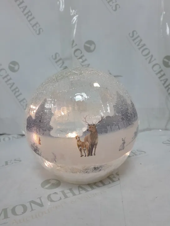 BOXED GALSS GLOBE WITH LED LIGHTING 