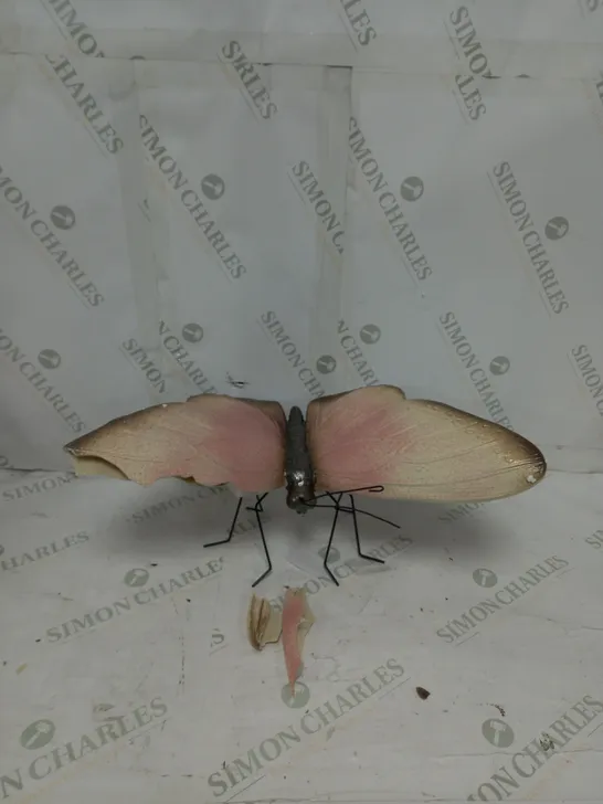 BOXED DECORATIVE BUTTERFLY IN GOLD/CORAL