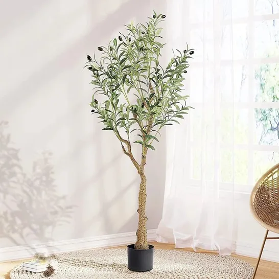 BOXED ARTIFICIAL OLIVE TREE 