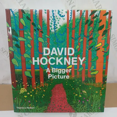 DAVID HOCKNEY A BIGGER PICTURE BY THAMES & HUDSON