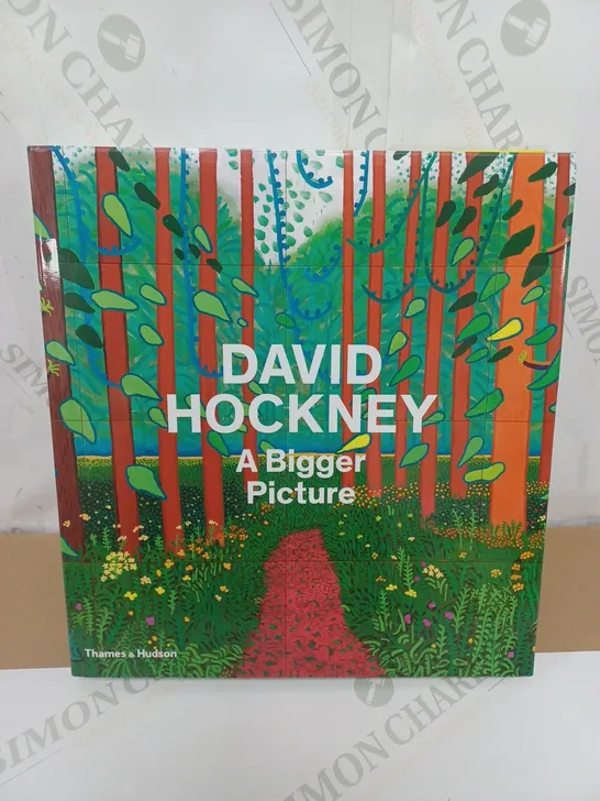 DAVID HOCKNEY A BIGGER PICTURE BY THAMES & HUDSON