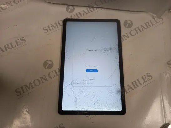 GALAXY TAB S6 LITE (SM-P610)