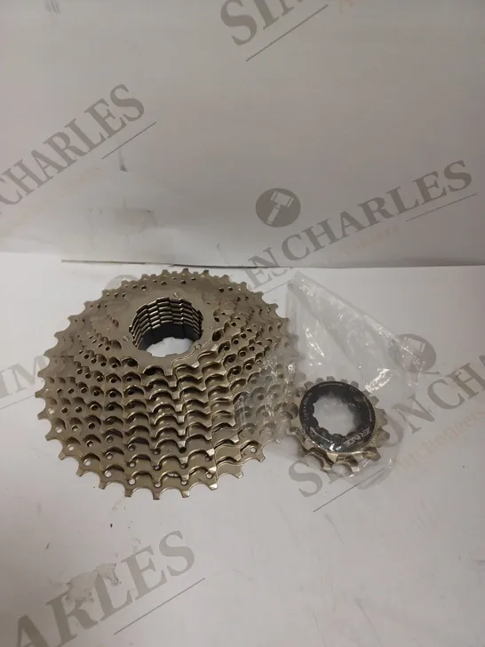 ZRACE REAR 10 SPEED CHAINRING 