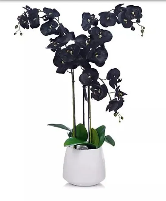 JM BY JULIEN MACDONALD MULTI STEM ORCHID IN WHITE GLAZED POT BLACK