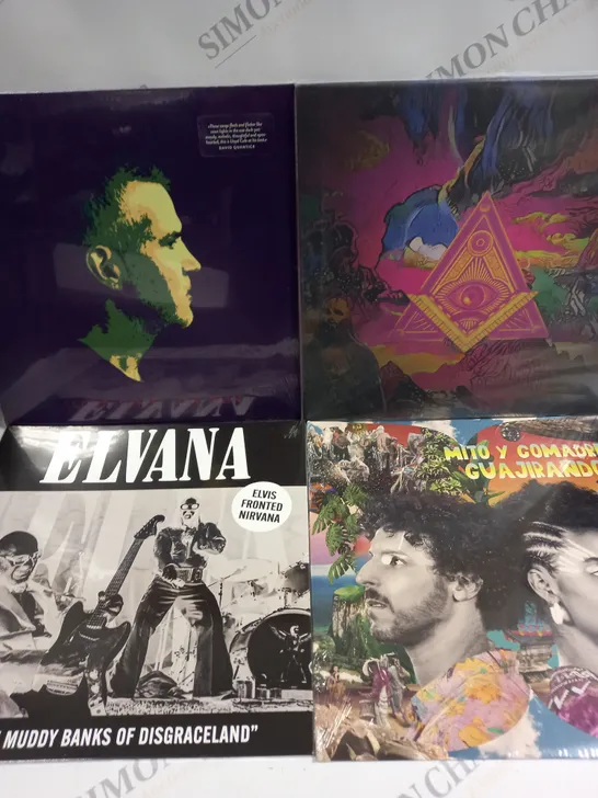 APPROXIMATELY 10 ASSORTED VINYLS FROM VARIOUS ARTISTS TO INCLUDE ELVANA, LLOYD COLE, CANDIE PAYNE ETC 