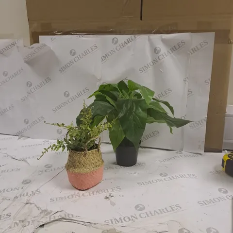 BOX OF 2 SYNTHETIC PLANTS 