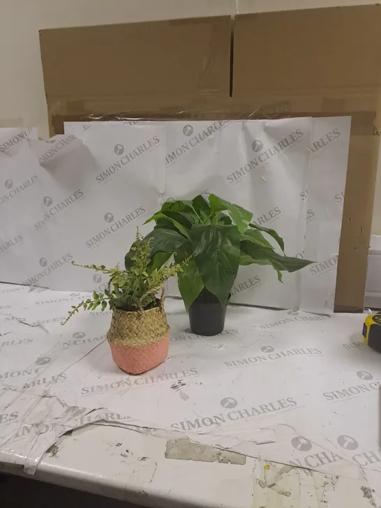 BOX OF 2 SYNTHETIC PLANTS 