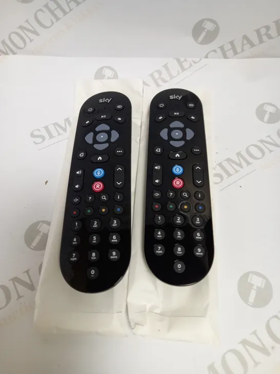 PAIR OF SKY EC202 REMOTE CONTROLS 