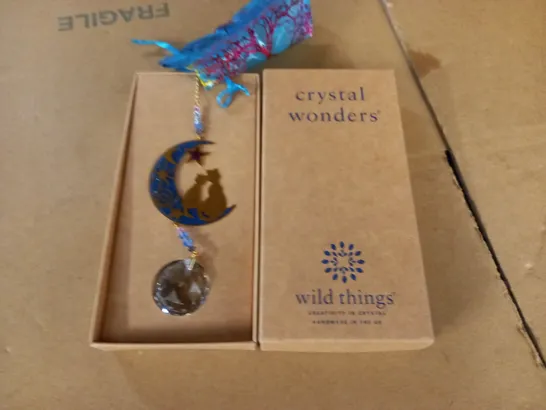 BOXED CRYSTAL WONDERS WILD THINGS