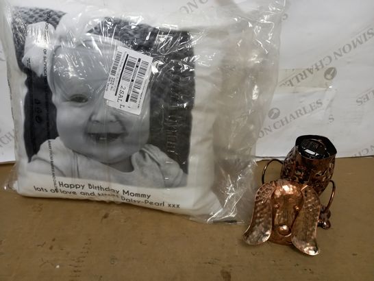 LOT OF 2 ASSORTED ITEMS TO INCLUDE PERSONALISED CUSHION AND METAL DOG SCROLL LIGHT RRP £19.99