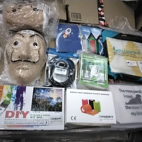 PALLET OF ASSORTED ITEMS INCLUDING SELF-ADHESIVE ELASTIC BANDAGE, MONEY HEIST MASK, WALRUS MAKEUP BAG, PAINT BY NUMBERS KIT, SON BIRTHDAY CARD, POETS CORNER 2021 BOOK