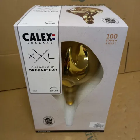 BOXED CALEX CHAMPAGNE ORGANIC EVO 