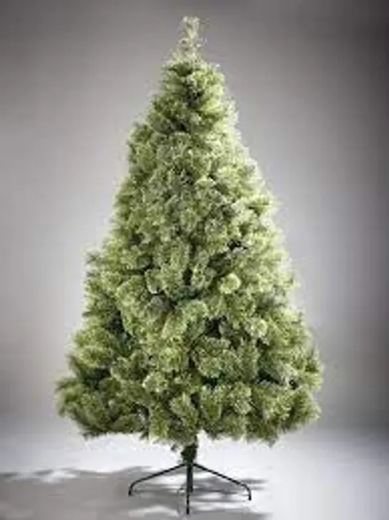 BOXED 7FT CASHMERE TIPS CHRISTMAS TREE RRP £119.99