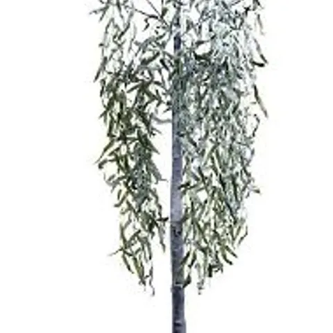 ALISON CORK 180CM PRE-LIT GREEN LEAF DETAIL INDOOR WILLOW TREE [COLLECTION ONLY]