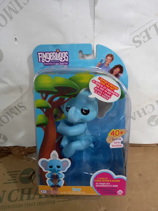 BOXED FINGERLINGS 5 YEARS+