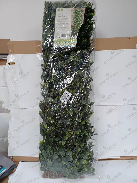 SMART SOLAR LEMON LEAF 180 X 90CM TRELLIS COLLECTION ONLY (BOX WATER DAMAGED)  RRP £34.99