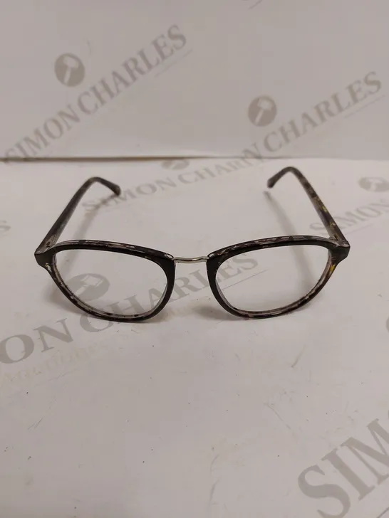 CASSIDY BLACK HAVANA ROUND EYEGLASSES 