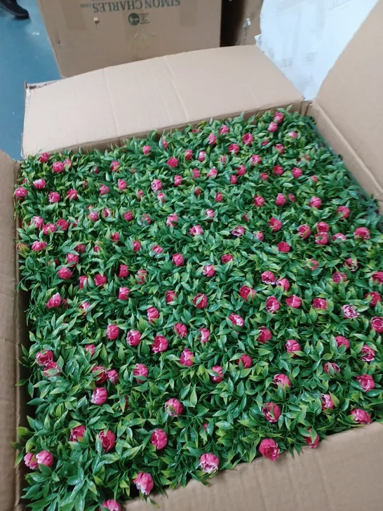 BOX OF GARDEN ROSE LIVING WALL