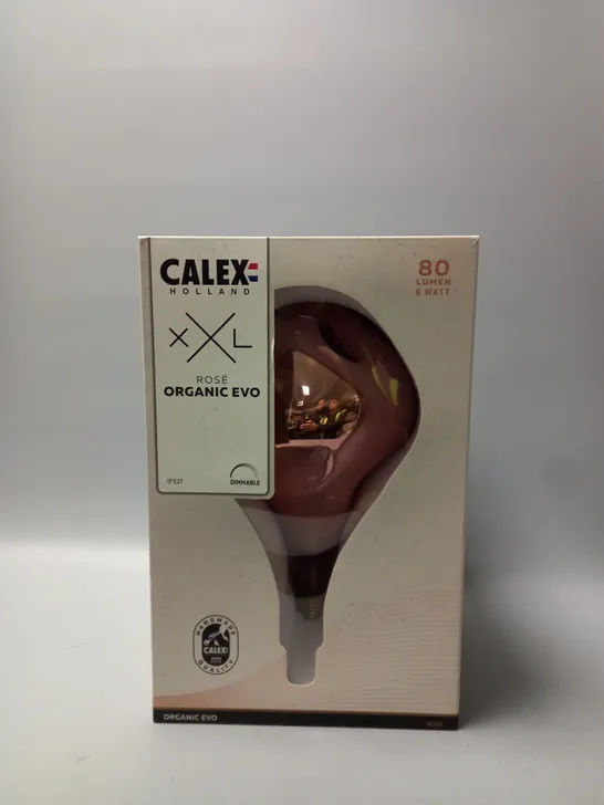 BOXED CALEX HOLLAND XXL ROSE ORGANIC EVO 80 LUMEN 6 WATT