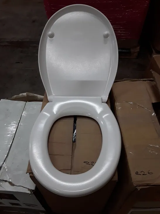 TOILET SEAT