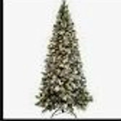 7 FOOT ALISON CORK SUGAR SPRUCE TREE collection only 