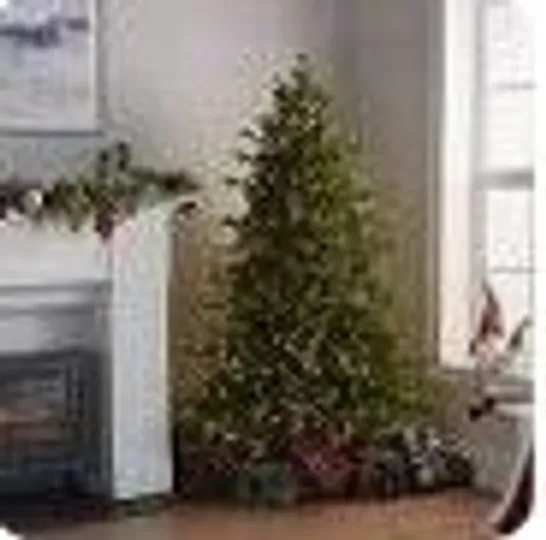 BOXED SANTA'S BEST 116 FUNCTION PRE-LIT AUBURN NATURAL 6FT CHRISTMAS TREE - COLLECTION ONLY