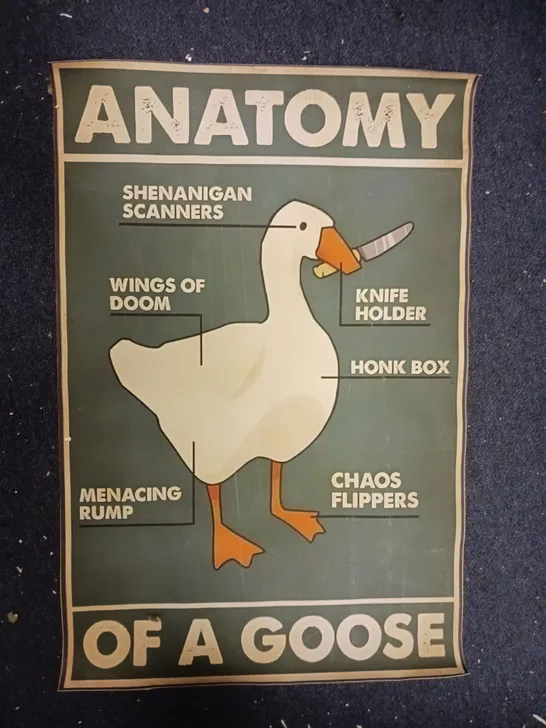 ANATOMY OF A GOOSE ART PRINT