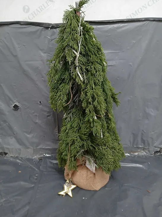 FERN PRE-LIT SMALL CHRISTMAS TREE RRP £29.99