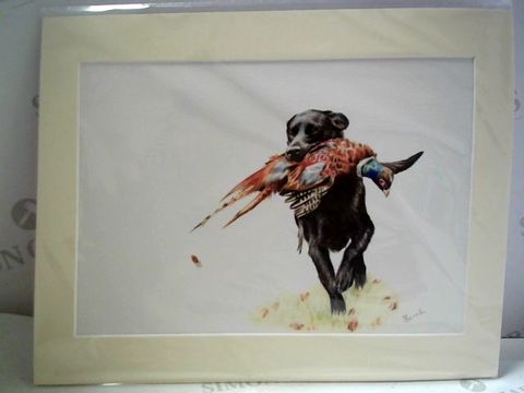 DOG AND PHEASANT MOUNTED ARTWORK - S BURCH
