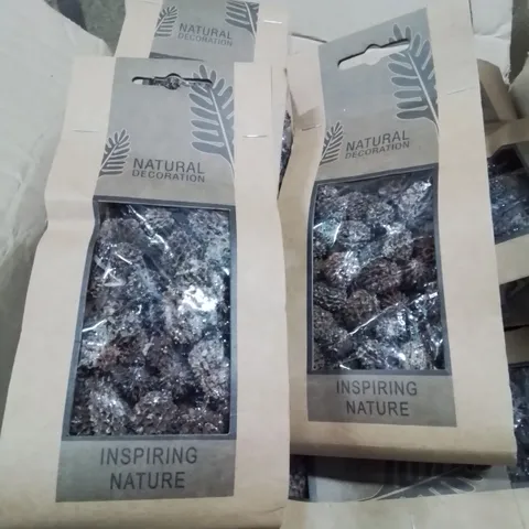 BOX CONTAINING LARGE NUMBER OF BAGGED AND SEALED NATURAL DECORATION INSPIRING NATURE 