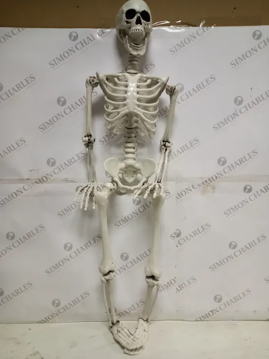 BOXED UNBRANDED PLASTIC SKELETON 