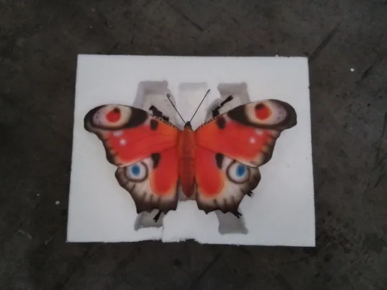 BOXED BUTTERFLY WALL DECORATION