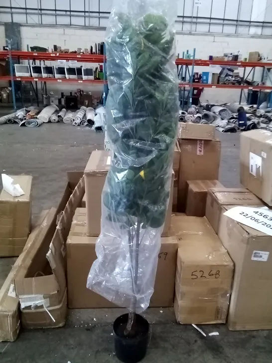 BOXED 150CM ARTIFICIAL LEMON TREE