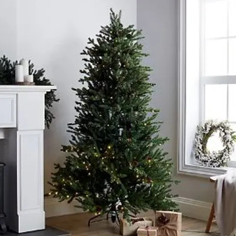 BOXED KELLY HOPPEN KENSINGTON FIR CHRISTMAS TREE - 6FT, NATURAL - COLLECTION ONLY