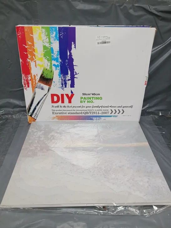 BOXED DIY DIGITAL PAINTING ADULT PAINT BY NUMBERS CANVAS (50*40cm)