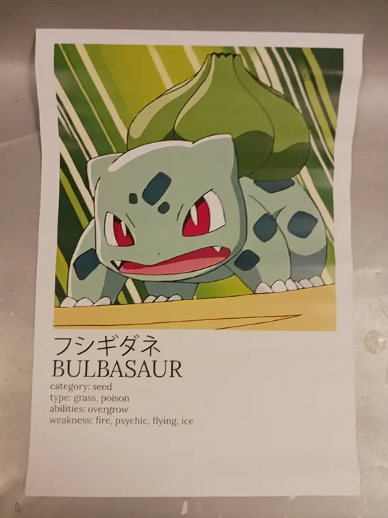 POKÉMON KANTO STARTERS BULBASAUR, CHARMANDER, AND SQUIRTLE ART PRINTS