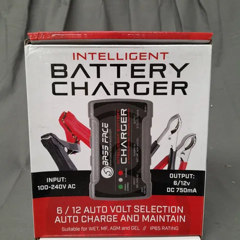 BOXED BASS FACE INTELLIGENT BATTERY CHARGER