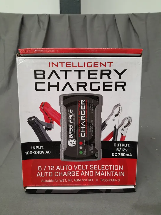 BOXED BASS FACE INTELLIGENT BATTERY CHARGER