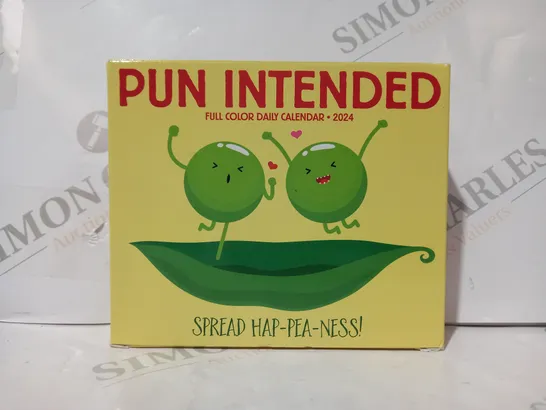 BOXED PUN INTENDED FULL COLOUR DAILY CALENDAR - 2024