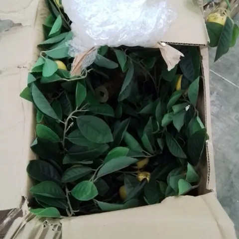 BOXED 240CM ARTIFICIAL LEMON TREE