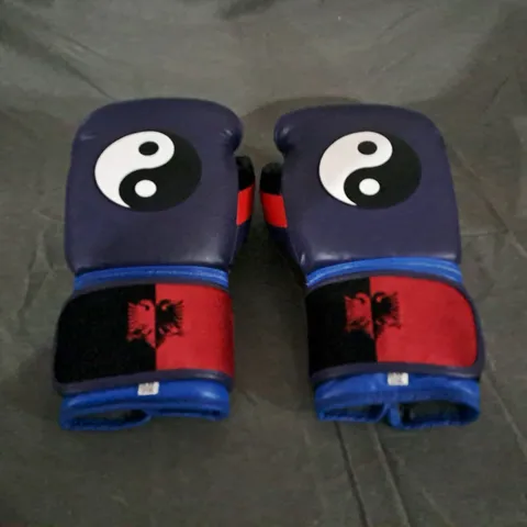 PAIR OF CUSTOMISED BOXING GLOVES